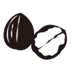 くるみ